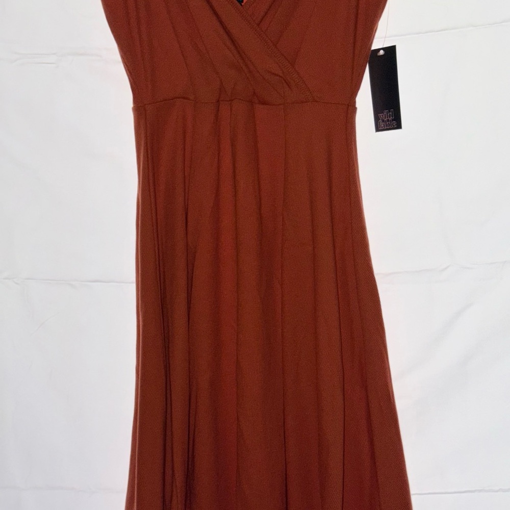 Wild Fable Rust Mini Dress